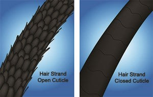 Natural Organic Hair Care